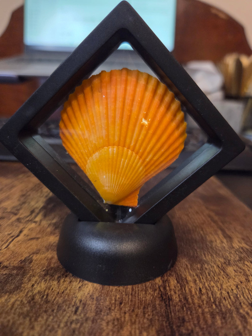 Coastal Treasure Keepsake