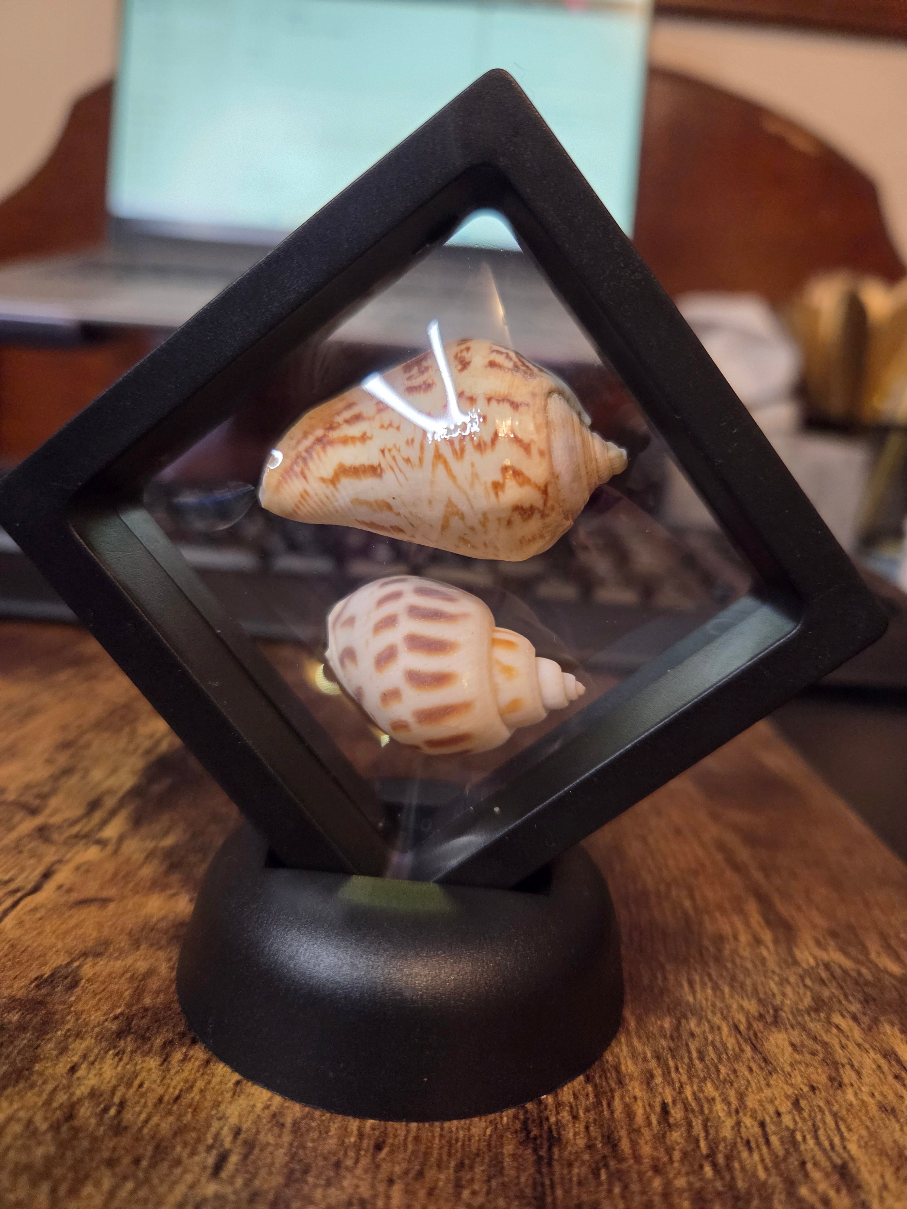 Coastal Treasure Keepsake
