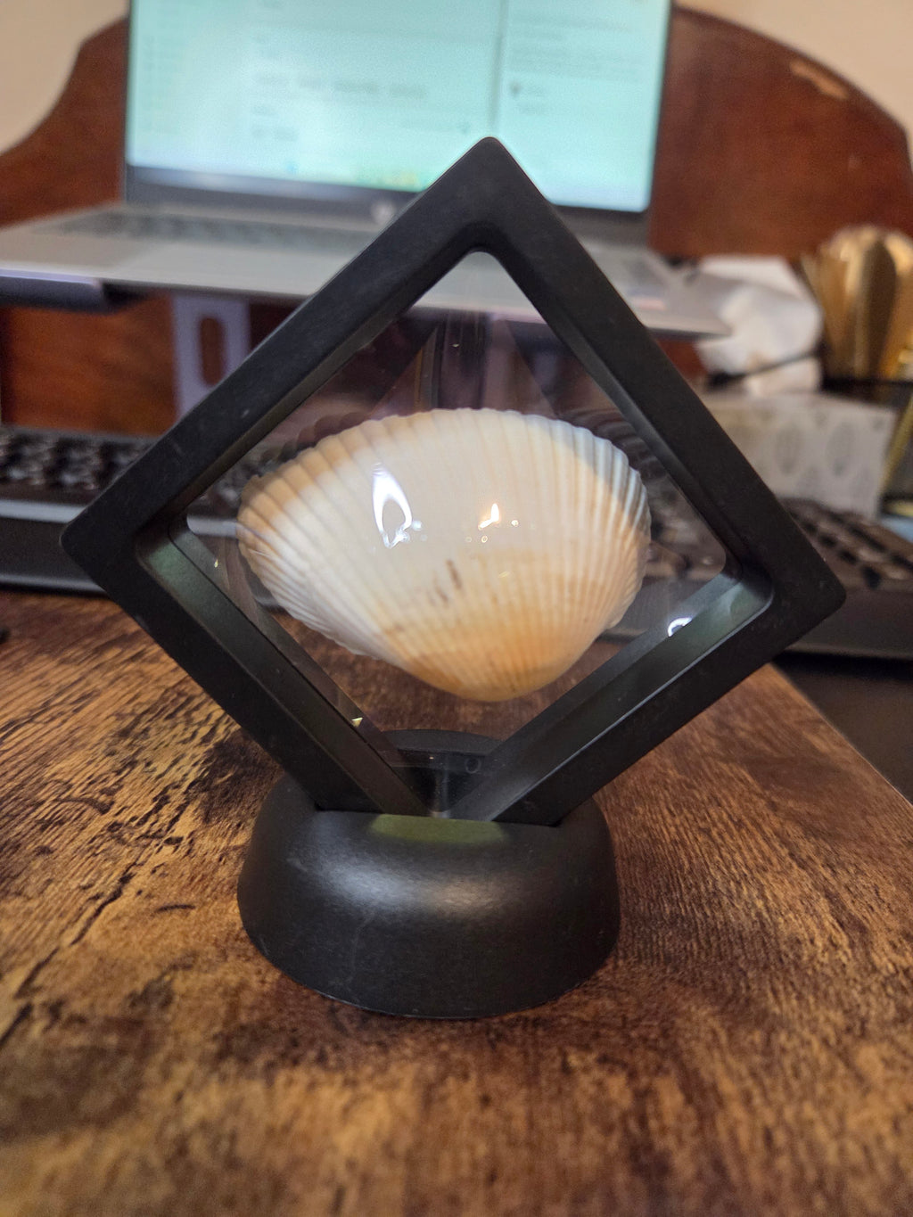 Coastal Treasure Keepsake