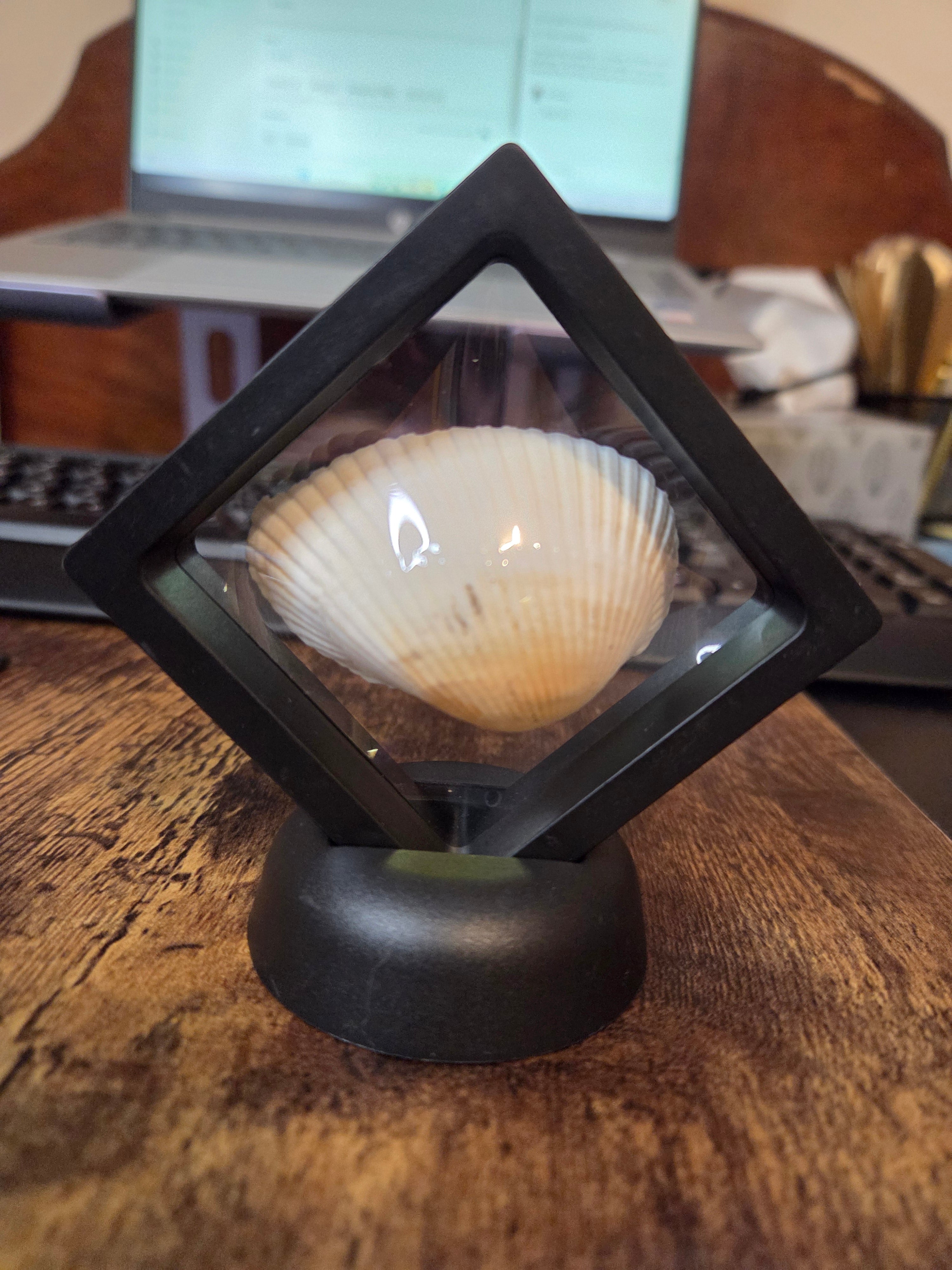 Coastal Treasure Keepsake