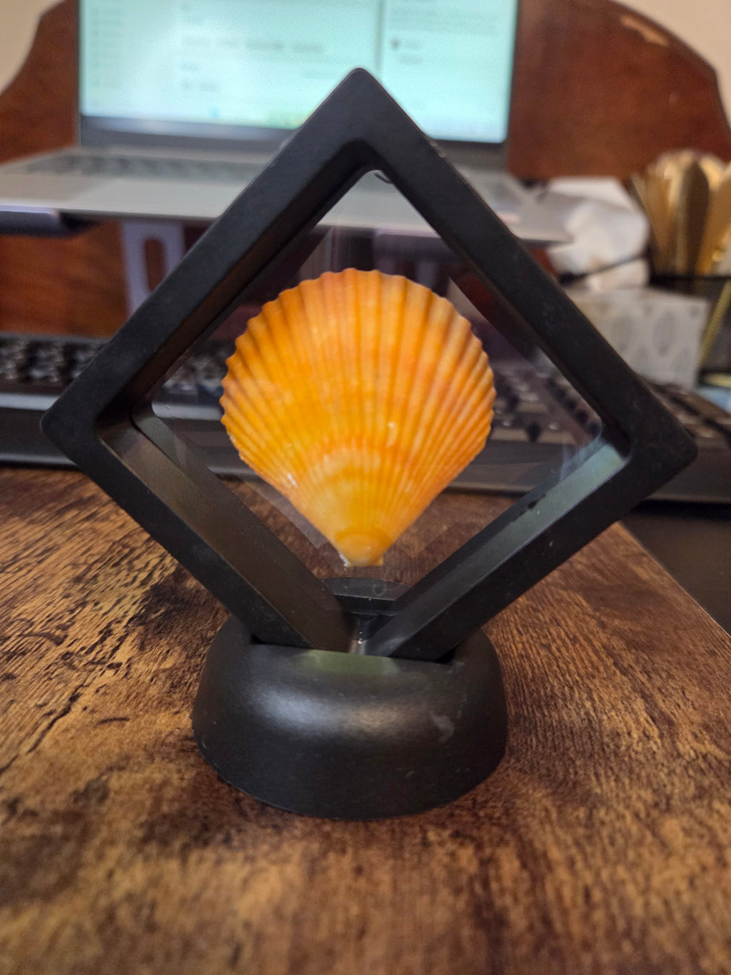 Coastal Treasure Keepsake