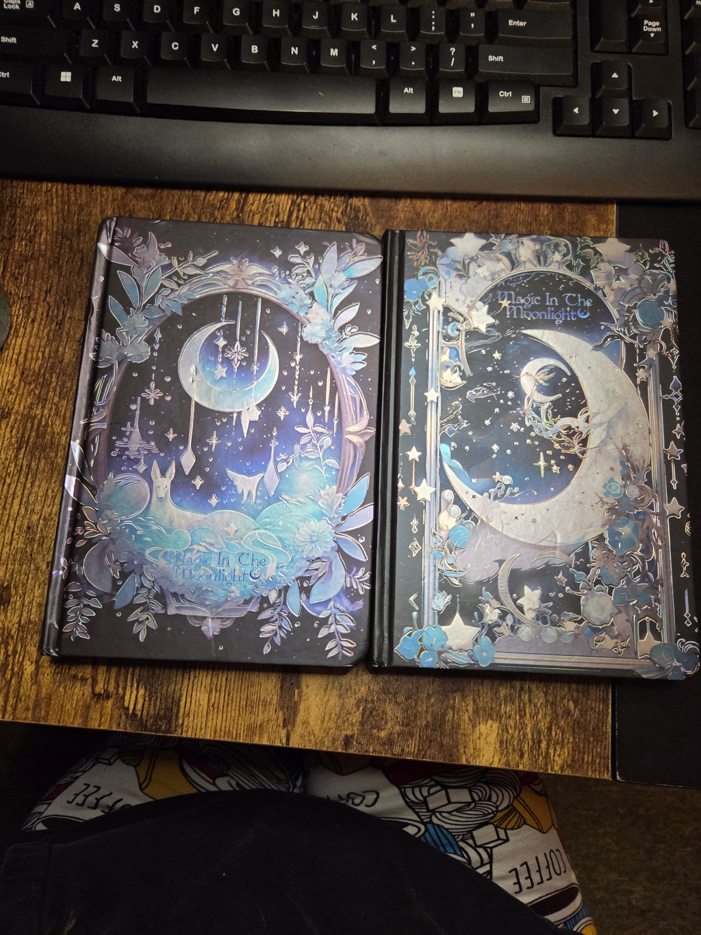 Magic In The Moonlight Journal